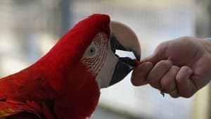 Bon anniversaire, Gino !