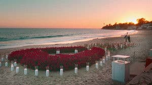 We're Celebrating Sex