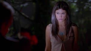 La belle est la bête