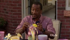 Sous les feux des projecteurs