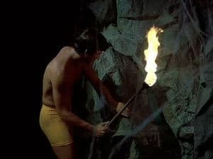 L'oiseau du fond des temps