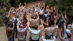 Promenons-nous dans les bois