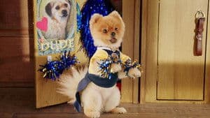 Camarade est mon oncle