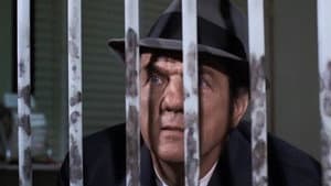 Liberté conditionnelle