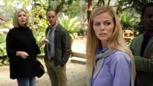 Les cartes de crédit