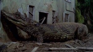 L'Attaque des alligators