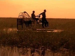 Plus dure sera la chute