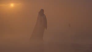 Le sang coule dans les veines