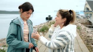 Une colombe à la mer