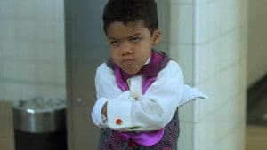 Le kamikaze hilarant