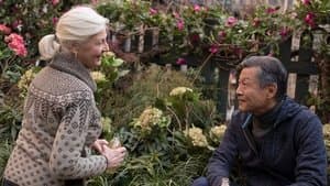 La course s'adoucit près de la ligne d'arrivée