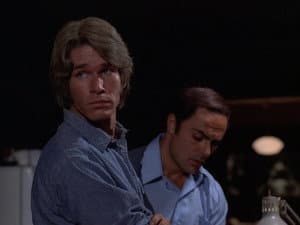 La Collection d’aigles