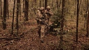 Dommages collatéraux