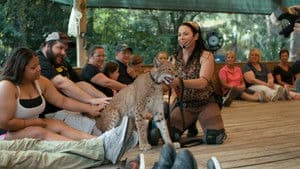 Culte de la personnalité