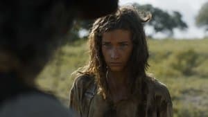 Le chasseur de bison