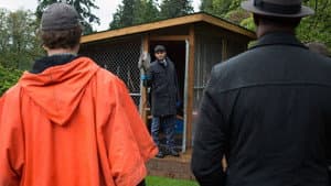 Point de rose sans épine