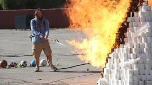 Boulettes de raisin et alliances de mariage
