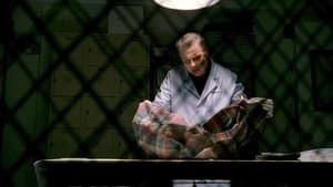 Quand les insectes parlent