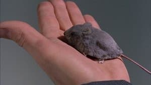 Sabotage à l'usine atomique