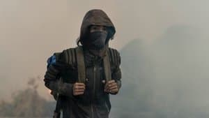 Le Tigre et l'agneau