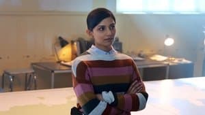 Le moulage des ossements.