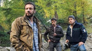 Comme un oiseau sans ailes