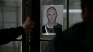 Episode 2 : Le collectionneur