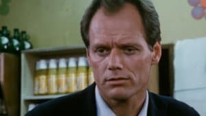 Vol sur un pigeon mort