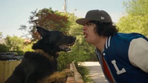 Ne vous laissez pas faire