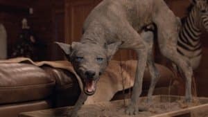 Cryptides et monstres légendaires