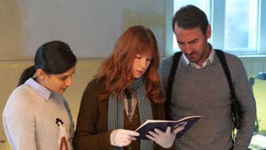 Anges aux ailes noires