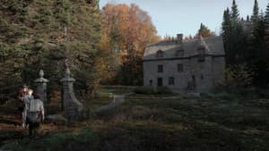 Des abeilles dans une bouteille