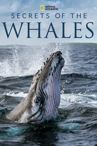 Les Secrets des baleines