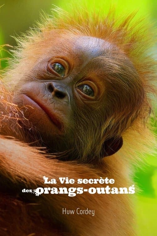 Secret Lives of Orangutans