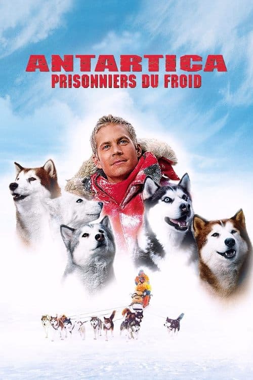 Eight Below