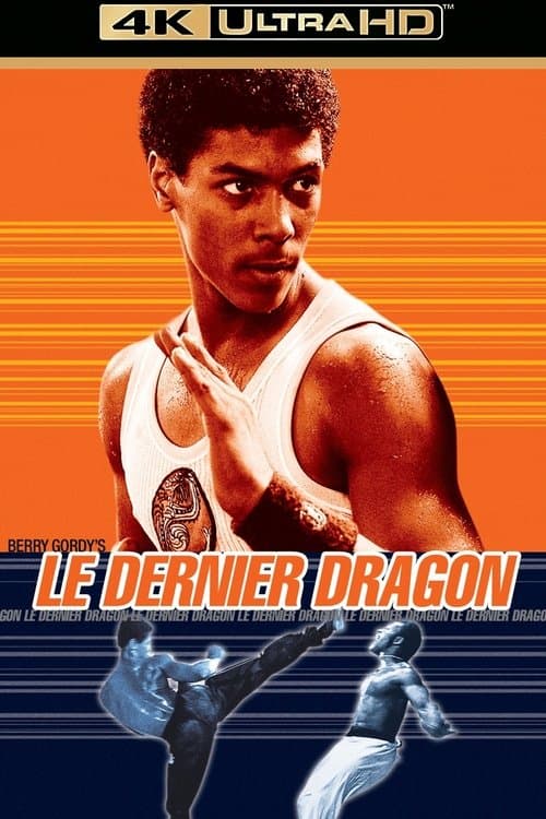The Last Dragon