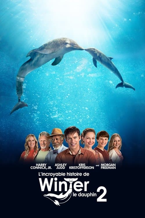Dolphin Tale 2