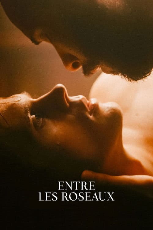 A Moment in the Reeds