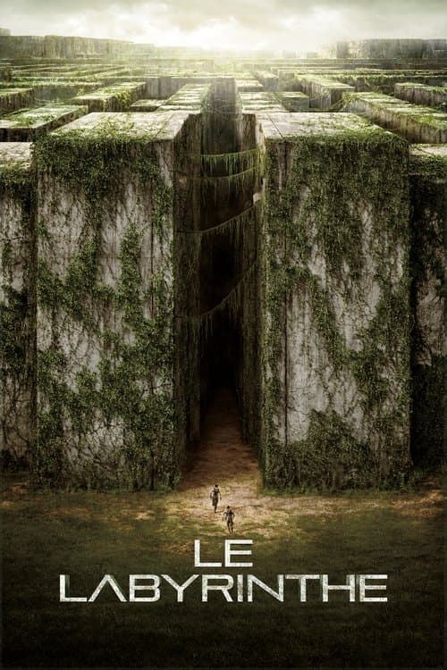 The Maze Runner