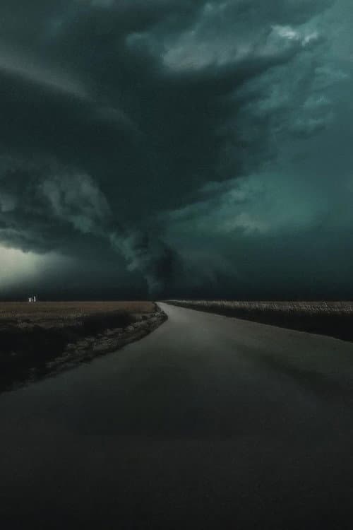 The Twister: Caught in the Storm