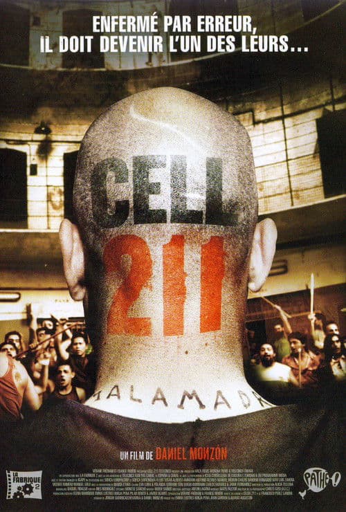 Cell 211