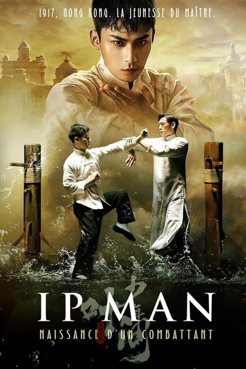 Young Ip Man: Crisis Time