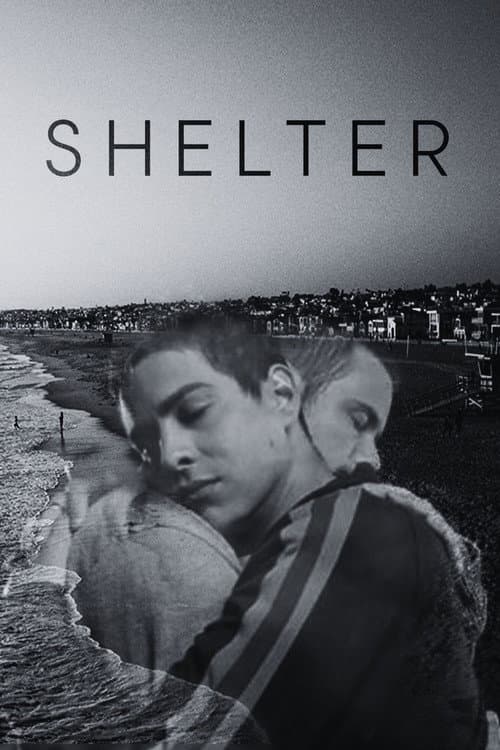 Shelter