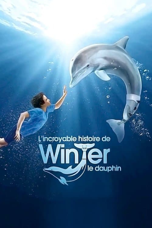 Dolphin Tale