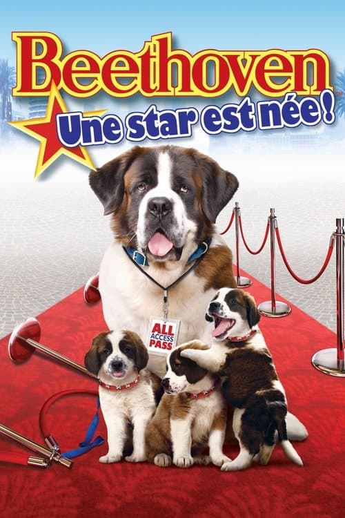 Beethoven's Big Break