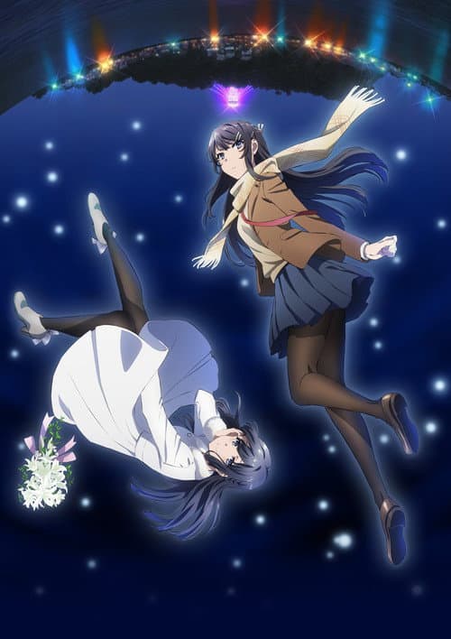 Rascal Does Not Dream of a Dreaming Girl