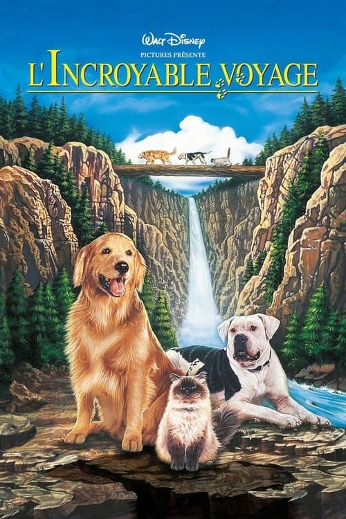 Homeward Bound: The Incredible Journey