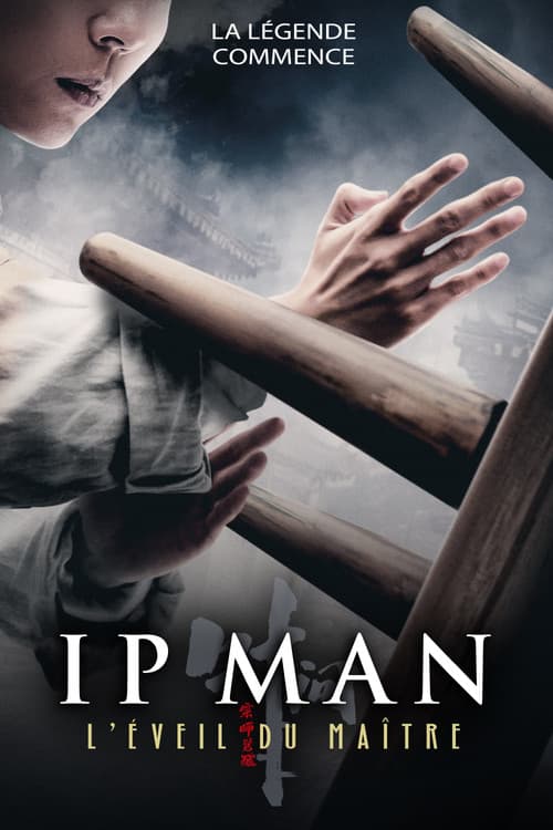 Ip Man: The Awakening