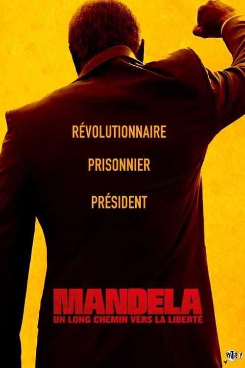 Mandela: Long Walk to Freedom