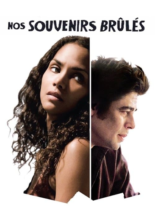 Things We Lost in the Fire